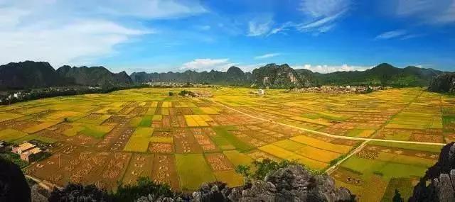 中國經(jīng)濟(jì)體制改革基金會全國第一！中國改革熱度第三方評估出爐，云浮宣傳系數(shù)在全國343個(gè)城市居首位                             