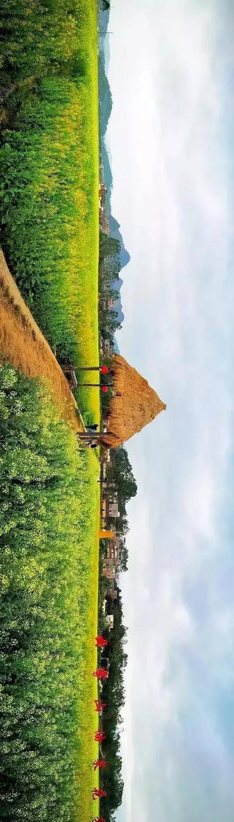 中國經(jīng)濟(jì)體制改革基金會全國第一！中國改革熱度第三方評估出爐，云浮宣傳系數(shù)在全國343個(gè)城市居首位                             